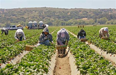 Why Does California Not Allow Fruits And Vegetables?