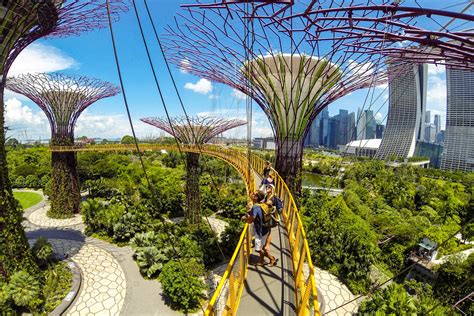 Why Is Gardens By The Bay So Popular?