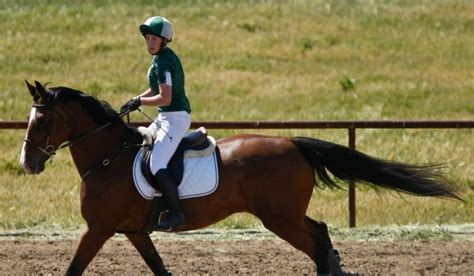 Why Is Horseback Riding So Expensive?