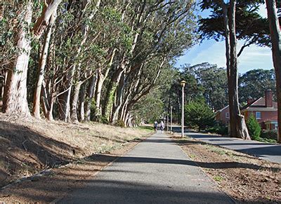 Why Is It Called Lovers Lane San Francisco?