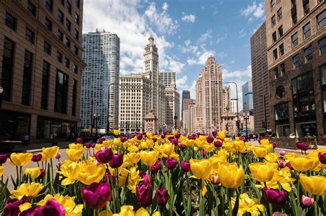 Why is it called the Magnificent Mile Chicago?