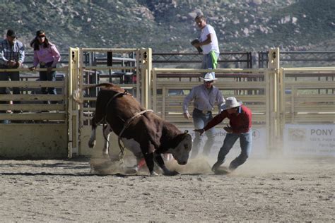 Why is LA banning rodeo?