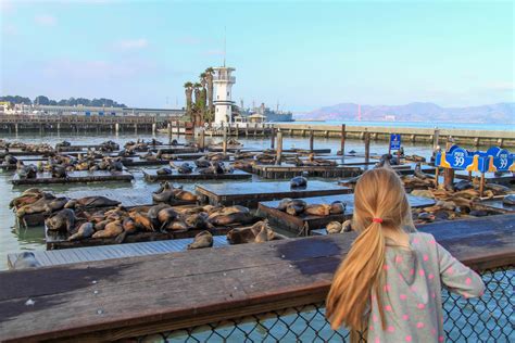 Why Is Pier 39 Famous?