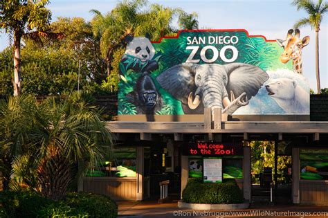 Why Is San Diego Zoo So Famous?