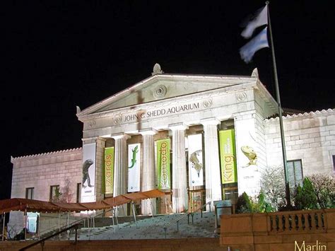 Why is Shedd Aquarium famous?