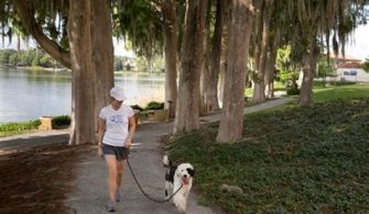 Are Dogs Allowed In Florida Parks?