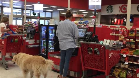 Are Dogs Allowed In Stores In Florida?