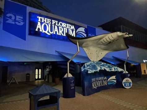 Are Masks Required At The Tampa Aquarium?