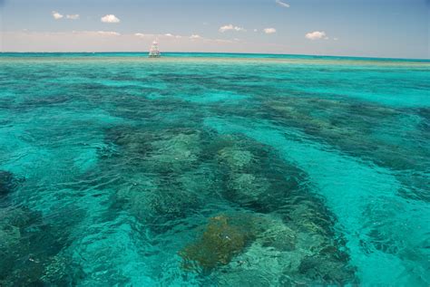 Are there coral reefs by Miami Beach?