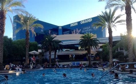 Can Anyone Swim At Mgm Grand Pool?