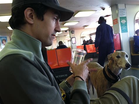 Can Dogs Go On The MTA Ferry?