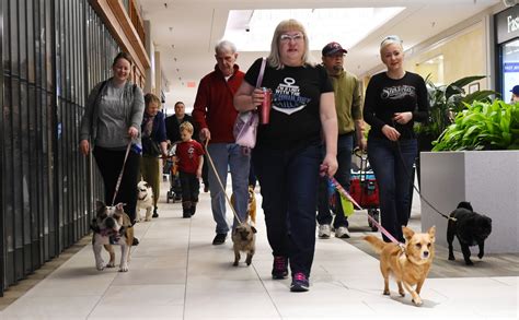 Can Dogs Go To Florida Mall?