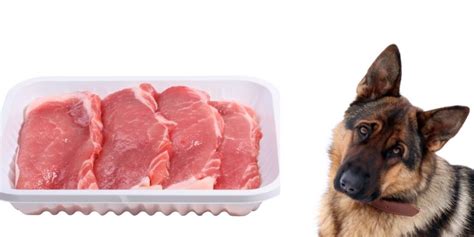 Can dogs have pork?