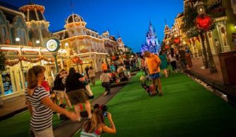 Can Dogs Walk On Disney BoardWalk?