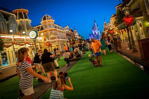 Can dogs walk on Disney BoardWalk?