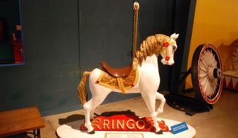 Can I Bring My Dog To Ringling Museum?