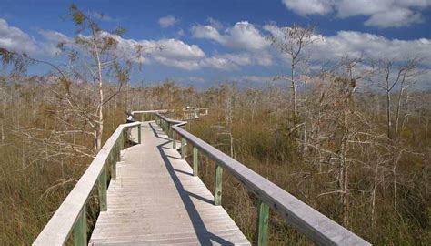 Can I drive through Everglades National Park?