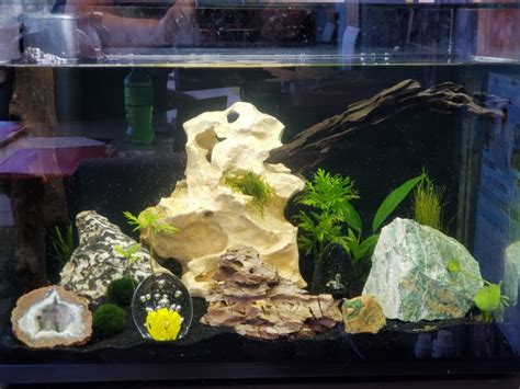 Can I leave my aquarium for a week?