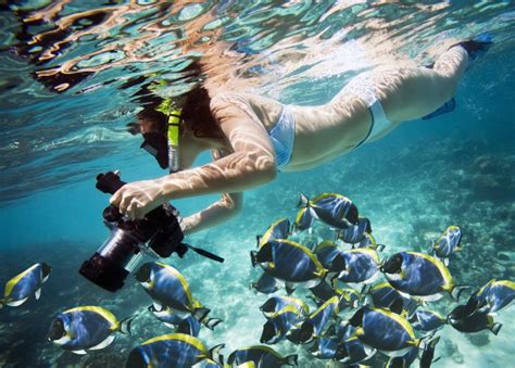 Can I snorkel from the beach in Florida Keys?