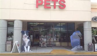 Can I Take My Dog Into Stores In Florida?