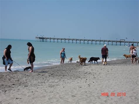 Can I Take My Dog To Venice Beach Florida?