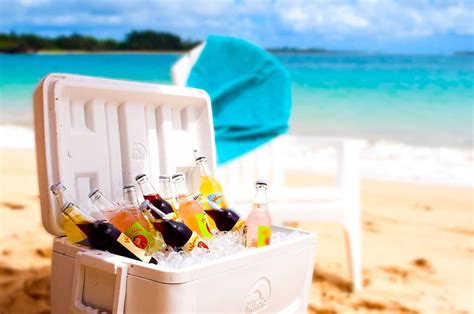 Can You Bring Coolers On Miami Beach?