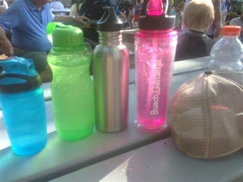 Can You Bring In Water Bottles To Busch Gardens Tampa?