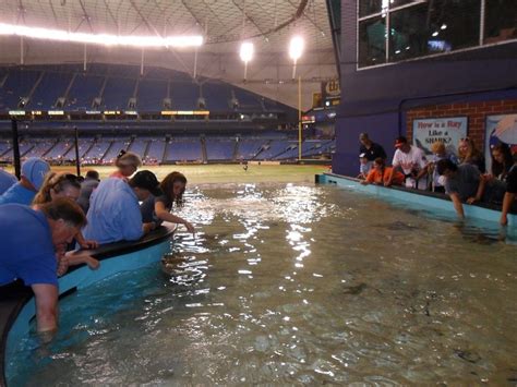 Can you bring water into Tropicana Field?