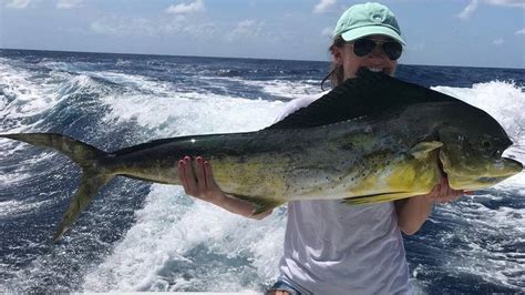 Can You Catch Mahi Mahi In Miami?