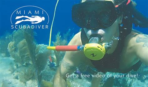 Can You Dive On Miami Beach?