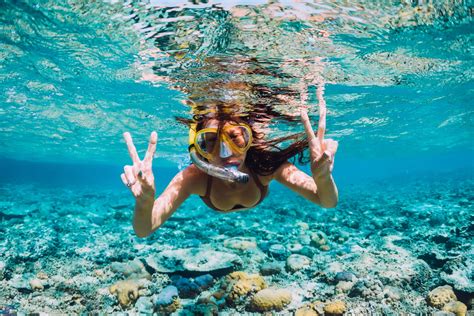 Can you go snorkeling without a tour?