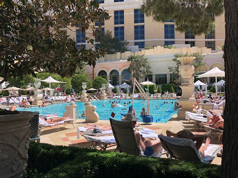 Can You Go To The Bellagio Pool Without Being A Guest?