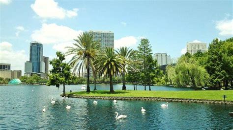 Can you have a picnic at Lake Eola Park?