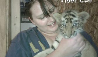 Can You Hold A Tiger Cub?