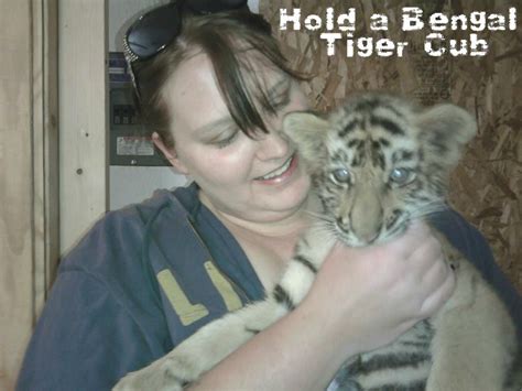 Can you hold a tiger cub?