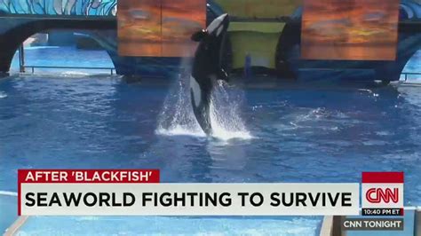 Can you leave SeaWorld and come back?