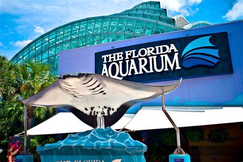 Can you leave The Florida Aquarium and come back?