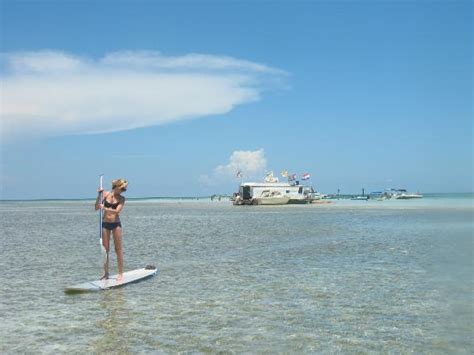 Can you paddleboard to Islamorada Sandbar?