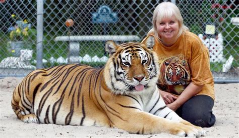 Can you pet tigers in Florida?