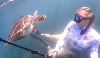 Can You Snorkel At Turtle Town?