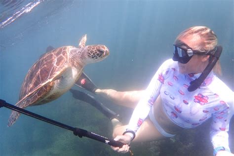 Can You Snorkel At Turtle Town?