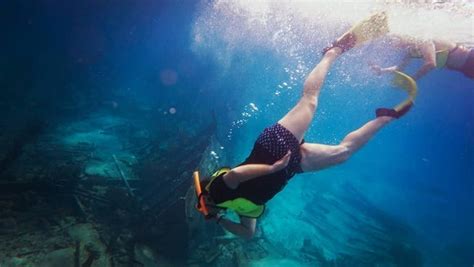 Can You Snorkel Biscayne National Park Without A Boat?