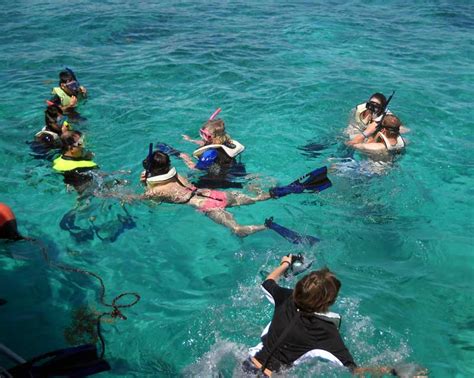 Can You Snorkel From Shore In The Key Biscayne?