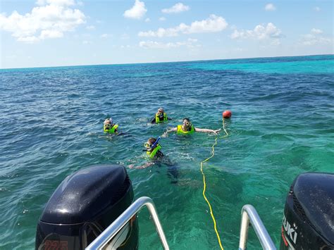 Can you snorkel in Key Largo without a tour?