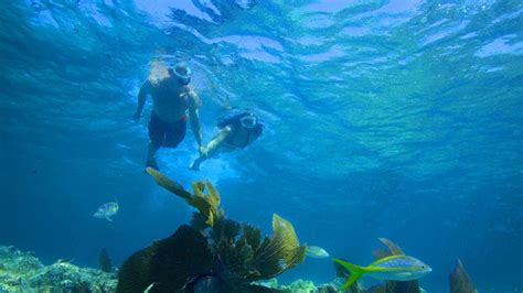 Can you snorkel off shore in Key Largo?