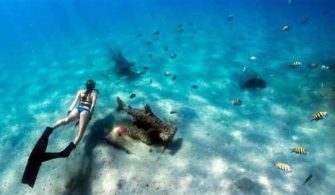 Can You Snorkel Off The Beach In Miami?