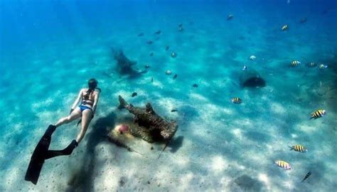 Can you snorkel off the beach in Miami?