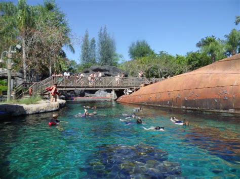 Can You Still Swim With Sharks At Typhoon Lagoon?