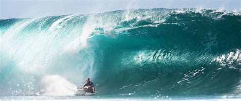 Can You Surf In Tampa FL?