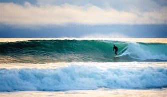 Can You Surf In Venice Beach Florida?